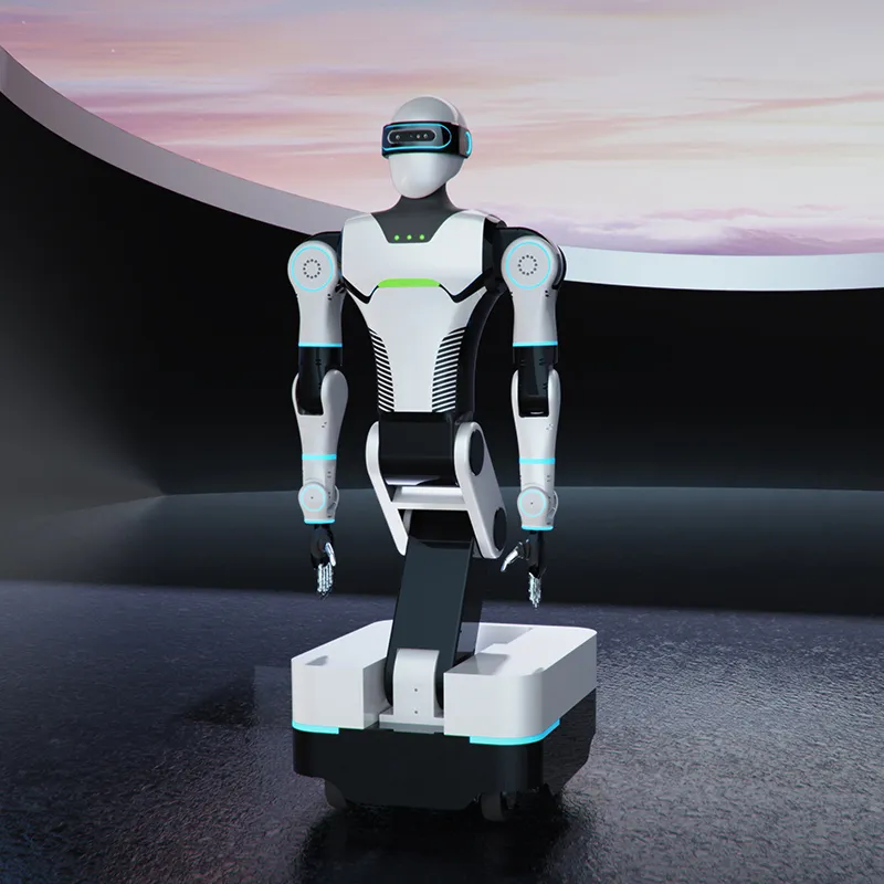 Колёсный антропоморфный робот LSRobot-001 (3)