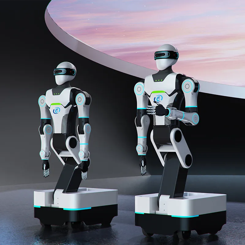 Колёсный антропоморфный робот LSRobot-001 (4)